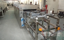 NMT-SDL-900化工纤维隧道炉