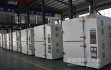NMT-3C-1001 晶元半导体行业工业烘箱(安徽万维克林)